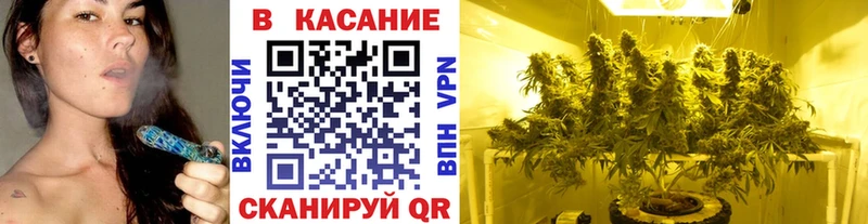 Магазины продажи наркотиков Мичуринск COCAIN  A-PVP  Меф мяу мяу  ГАШИШ  АМФЕТАМИН  Конопля 