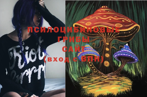 прущие грибы Алзамай