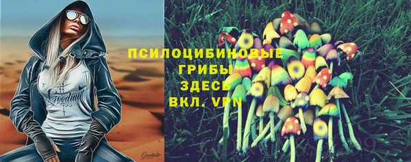 прущие грибы Алзамай