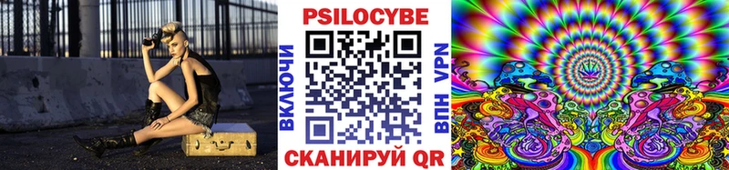 Галлюциногенные грибы MAGIC MUSHROOMS  купить закладку  Мичуринск 